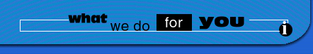 What We Do For You